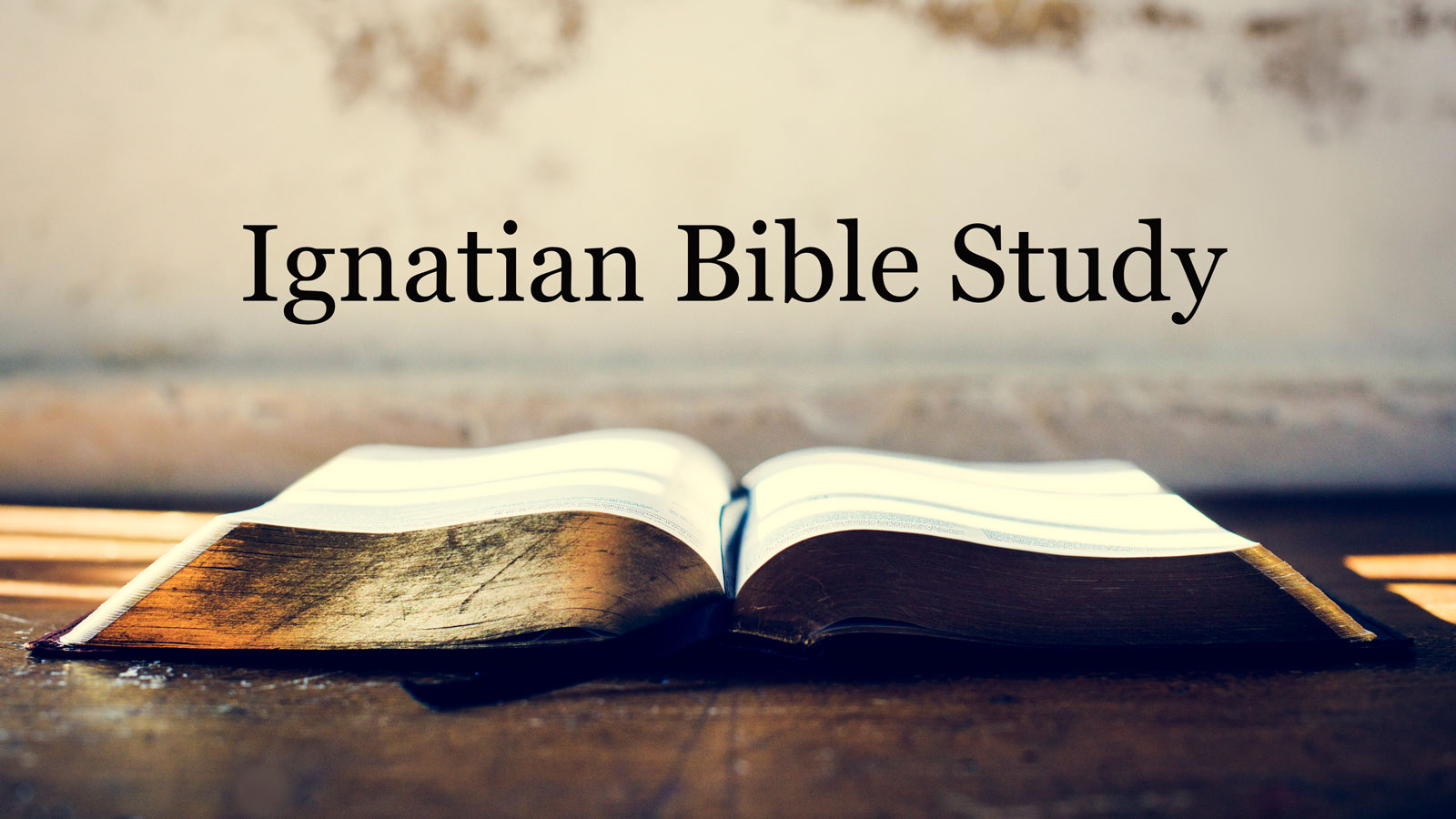 Ignatian Bible Study