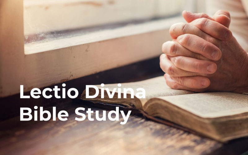 Lectio Divina: Week of March 15
