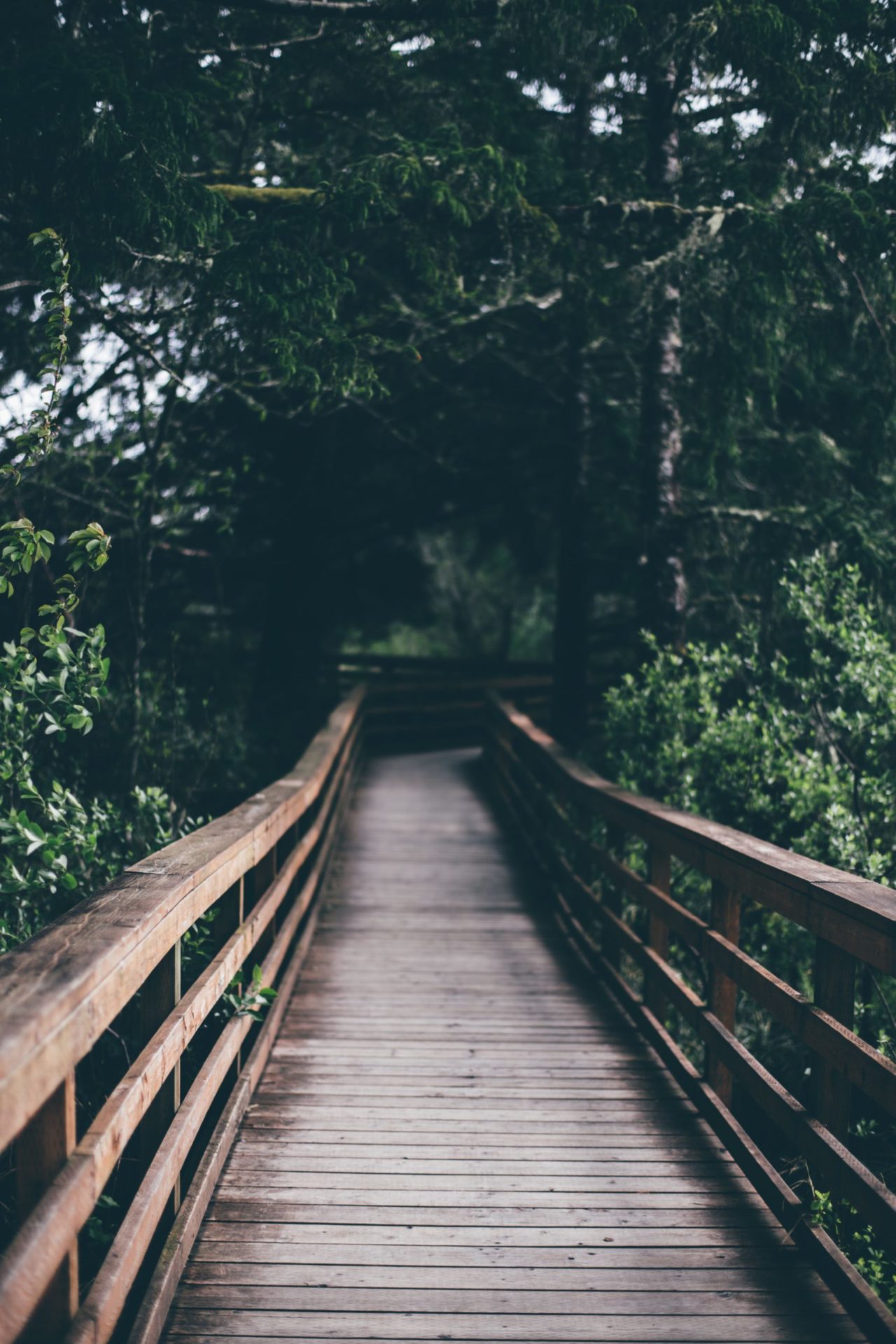 Be the Bridge Study