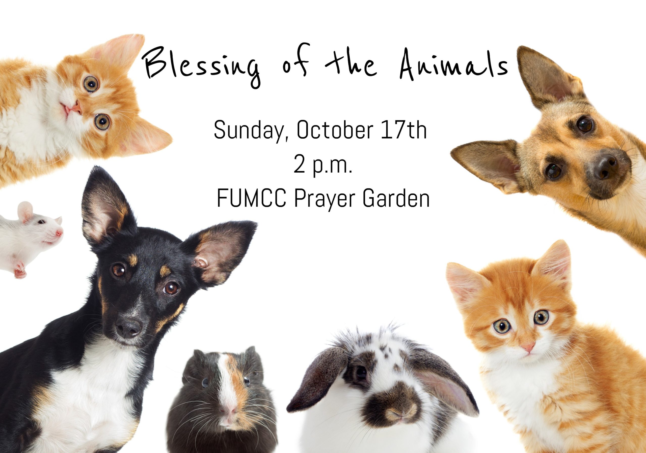 Blessing of the Animals