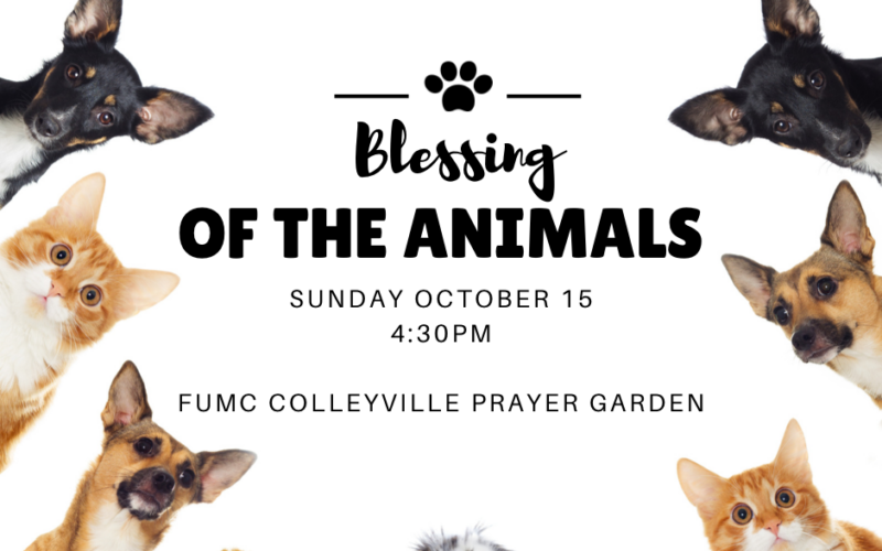 Blessing of the Animals