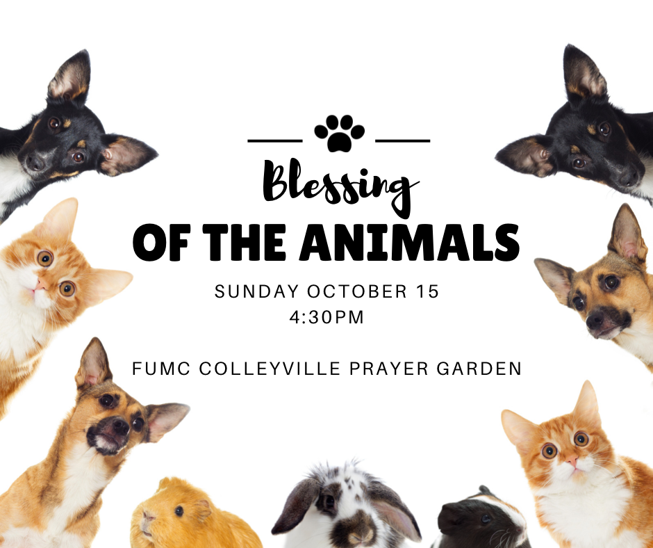 Blessing of the Animals