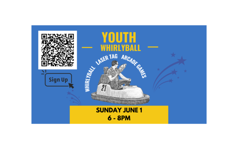 Youth Whirly Ball