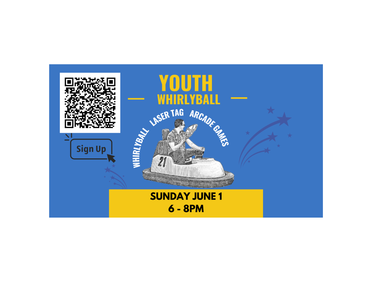 Youth Whirly Ball