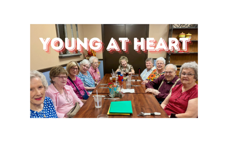 Young at Heart Summer Lunches
