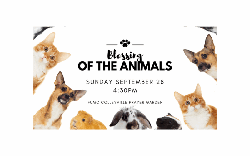 Blessing of the Animals