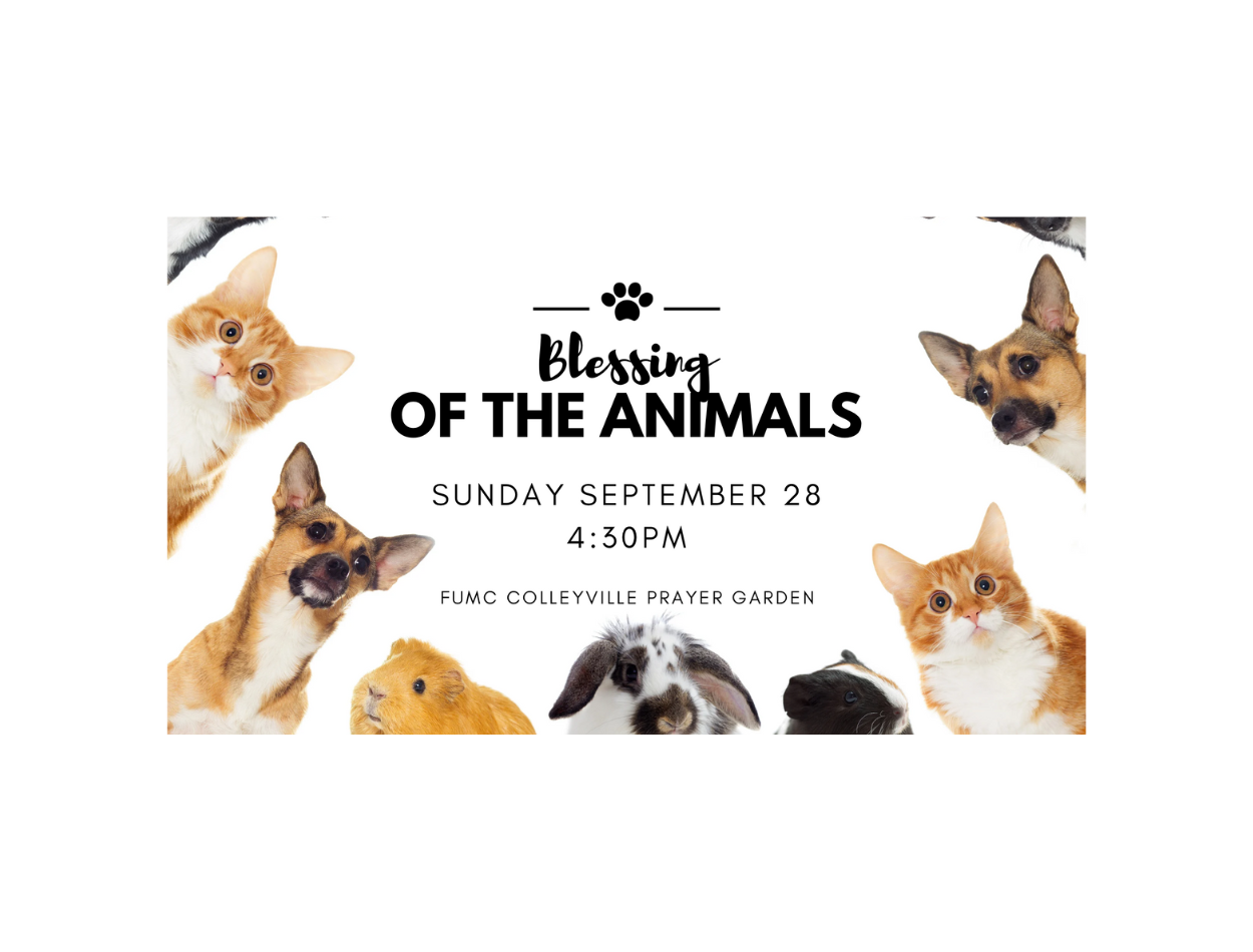 Blessing of the Animals