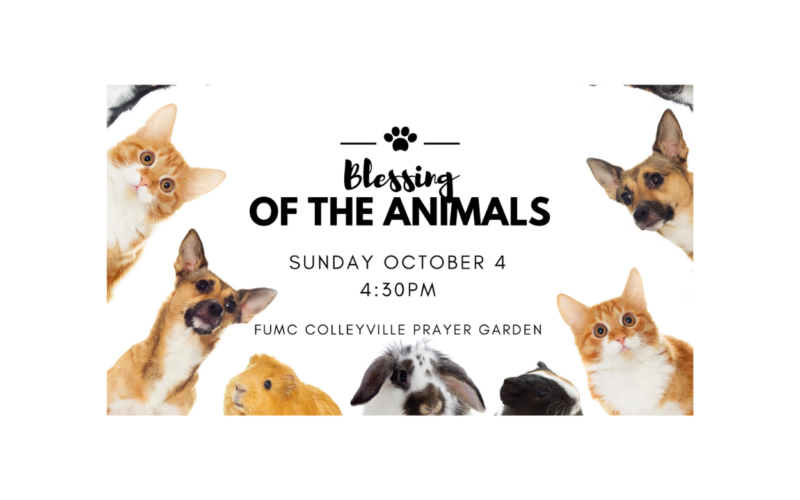 Blessing of the Animals