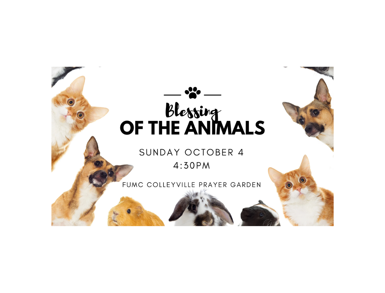 Blessing of the Animals